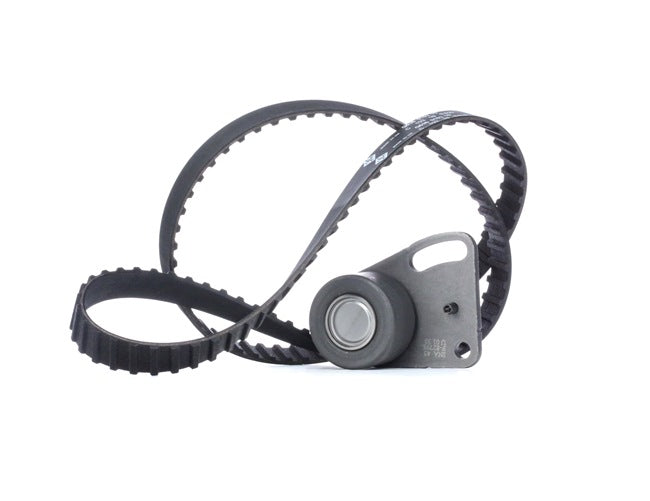 INA 530 0135 10 Timing belt kit FORD