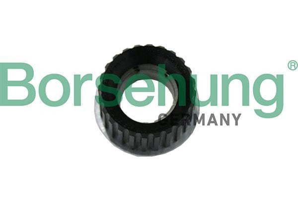 Borsehung B19122 Bearing VW