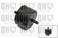 QUINTON HAZELL EM672 Engine mount FORD