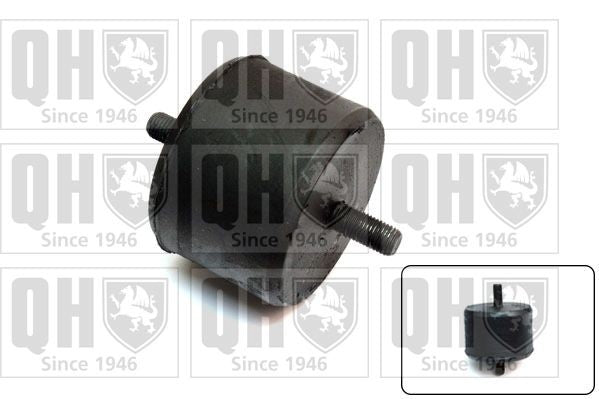 QUINTON HAZELL EM672 Engine mount FORD