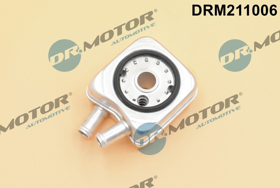 DR.MOTOR AUTOMOTIVE DRM211006 Engine oil cooler VW